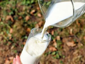 Сколько стоит молоко в России